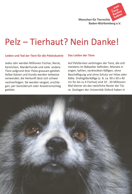 Thumbnail Flyer Pelz